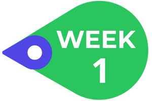 Week 1 Marker